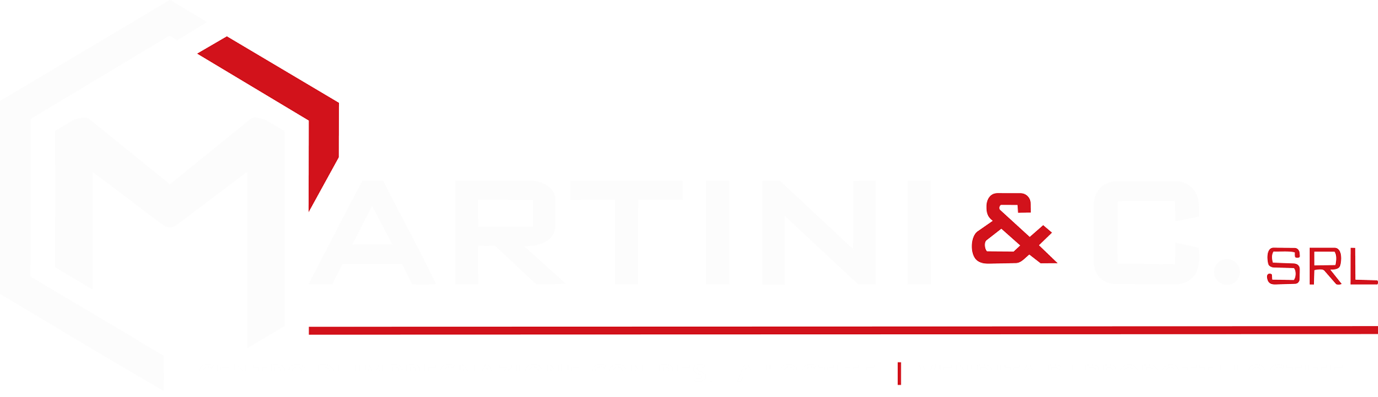 logo-martinisrl-bianco--rev2-piccolo